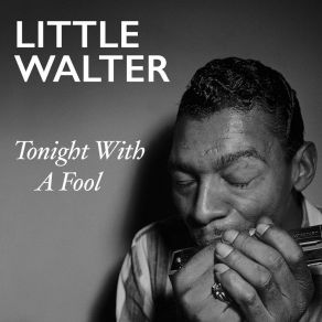Download track Tonight With A Fool Little Walter