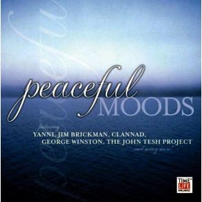 Download track Adagio For Strings William Orbit