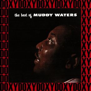 Download track Rollin' And Tumblin' (Part 1) Muddy Waters