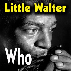 Download track Tonight With A Fool Little Walter
