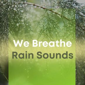Download track Simple Beautiful Rain Sound Of Rain