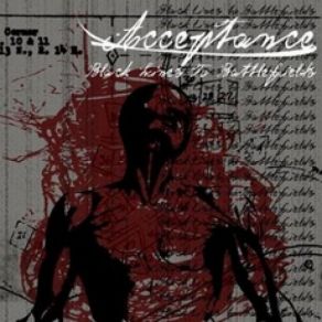 Download track Seeing Is Believing Acceptance