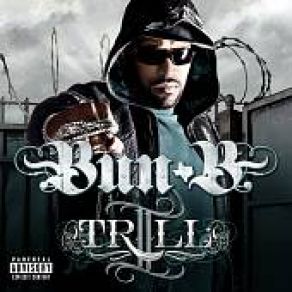 Download track Damn I'M Cold Bun B
