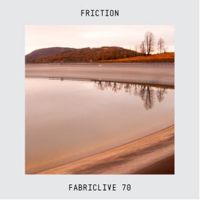 Download track Swag FrictionDC Breaks