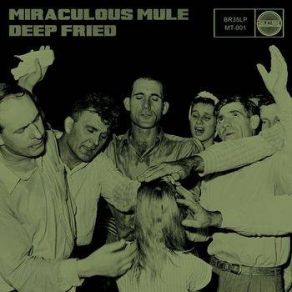 Download track Lord, I Just Can't Keep From Crying Miraculous Mule