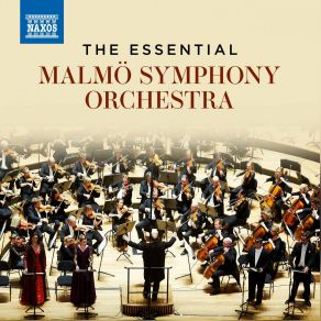 Download track Violin Concerto, Op. 28: III. Allegro Moderato Malmö Symphony OrchestraHenning Kraggerud