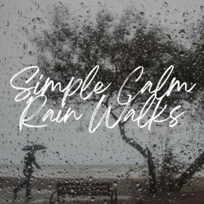 Download track Paper Boats Started Floating Rain Sounds