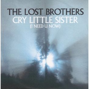 Download track U Don't Know Me The Lost Brothers, G Tom MacKeiron McTernan