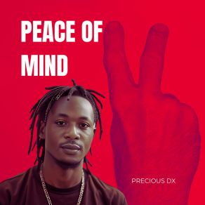 Download track Simulation Precious DX