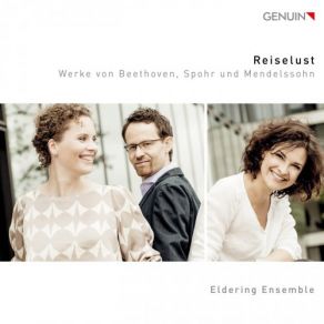 Download track Piano Trio No. 2 In C Minor, Op. 66, MWV Q33: IV. Finale. Allegro Appassionato Eldering Ensemble