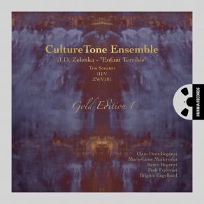 Download track Trio Sonata No. 5 In F Major, ZWV 181: Allegro III. Brigitte Engelhard, Bence Boganyi, Marie-Luise Modersohn, Zsolt Fejervari, Clara Dent-Bóganyi, CultureTone Ensemble