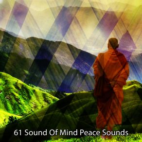 Download track Foundation Of A Healthy Mind Brain Study Music Guys