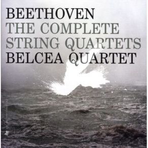 Download track 04. String Quartet No. 1 In F Major, Op. 18, No. 1 IV. Allegro Ludwig Van Beethoven