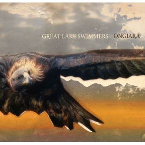 Download track There Is A Light Great Lake Swimmers