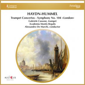 Download track Symphony No. 104 In D-Major