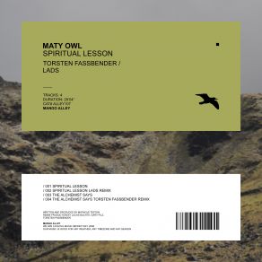 Download track Spiritual Lesson (LADS Remix) Maty Owl