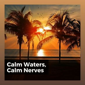 Download track Rain And Trees Waters Of Deluge