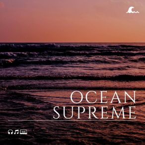 Download track Collecting Shells Ocean In HD