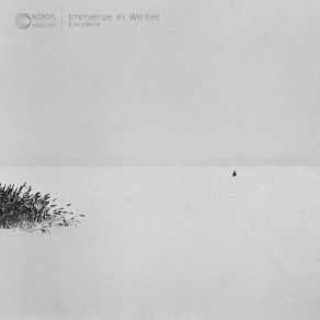 Download track Dive ExcellentKoloa Records