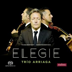 Download track Piano Trio No. 2 In E Minor, Op. 67: II. Allegro Con Brio Trio Arriaga