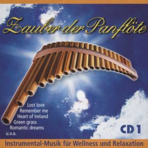 Download track Where Do You Go Magic Panflute Group
