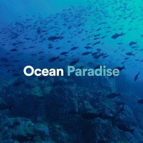 Download track Ocean Tutorial For Sleeping