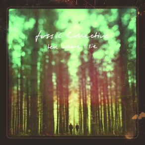 Download track How Was I To Know Fossil Collective