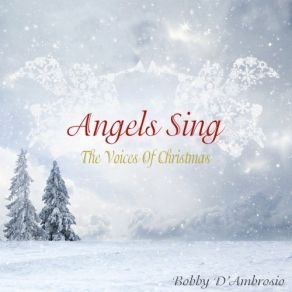 Download track What Christmas Was Meant To Be (Original Mix) Bobby D'AmbrosioChez