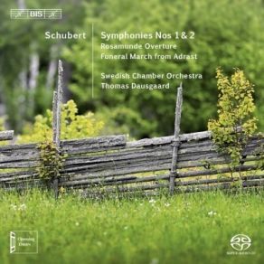 Download track 04 - Symphony No. 1 In D Major, D 82 (1813) - IV. Allegro Vivace Franz Schubert