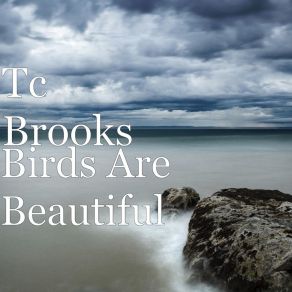 Download track Theres Got Be More To This Life Tc Brooks