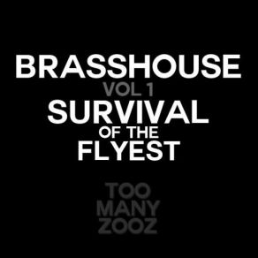 Download track Concerto For Bari And Sludge Pt. 1 Too Many Zooz