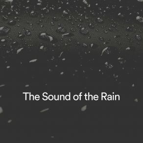 Download track The Rain Encourages Me To Be More Calm Forest Rain FX