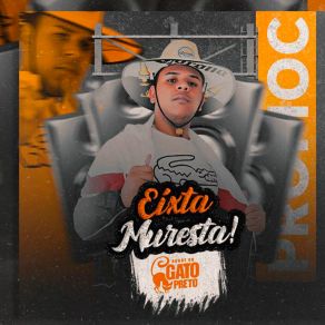 Download track Chuva Cai Bonde Do Gato Preto