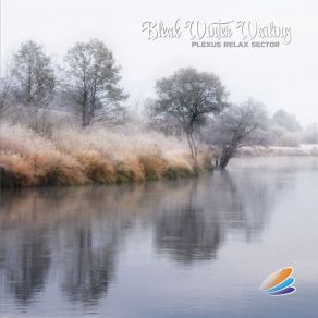 Download track The Parallel World Plexus Relax SectorSoulalive