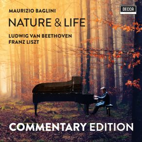Download track Beethoven: 6 Variations In D Major, Op. 76-Theme (Allegro Risoluto) Maurizio Baglini