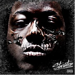 Download track Halucination Ace Hood