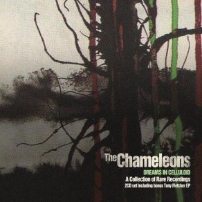 Download track Less Than Human The Chameleons