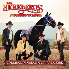 Download track El Borrego Los Herederos De Nuevo León