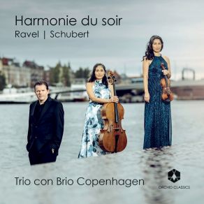 Download track Schubert: Piano Trio No. 1 In B-Flat Major, Op. 99 D. 898: Allegro Moderato Trio Con Brio Copenhagen