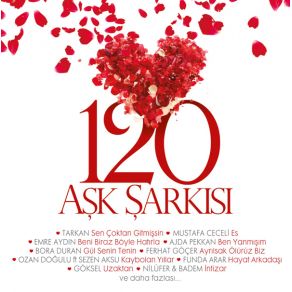 Download track Erkekler Ağlamaz Şebnem Ferah, Nilüfer