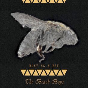 Download track Our Favorite Recording Sessions The Beach Boys