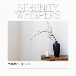 Download track Relaxing Reflections Tranquil Echoes