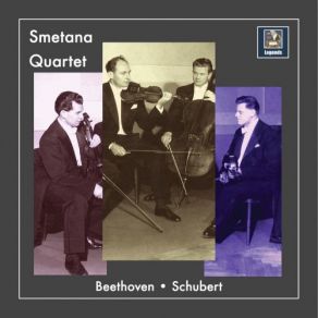 Download track String Quartet No. 14 In D Minor, D. 810