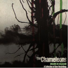 Download track Less Than Human The Chameleons