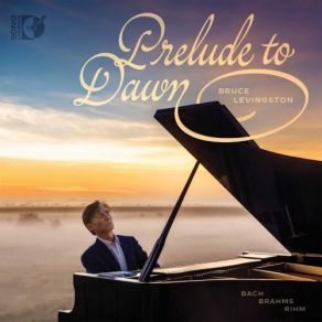 Download track Bach: Violin Partita No. 2 In D Minor, BWV 1004: V. Chaccone (Arr. J. Brahms For Piano Left Hand) Bruce Levingston
