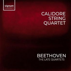 Download track 9. String Quartet No. 14 In C Sharp Minor Op. 131 - V. Presto Ludwig Van Beethoven