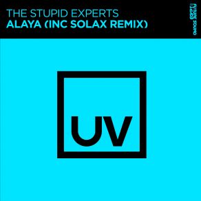 Download track Alaya (Extended Mix) The Stupid Experts