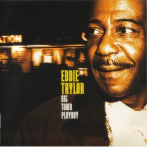 Download track Trouble Blues Eddie Taylor