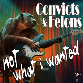Download track Not What I Wanted Felons