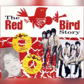 Download track The Kind Of Boy You Can't Forget The Jelly Beans